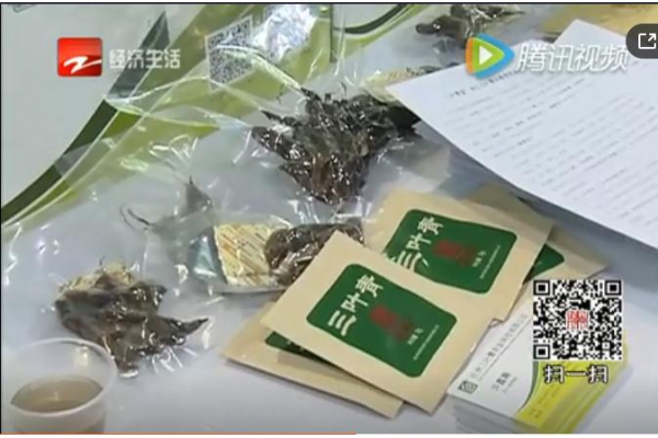 浙江电视台经济生活频道报道三叶青农科